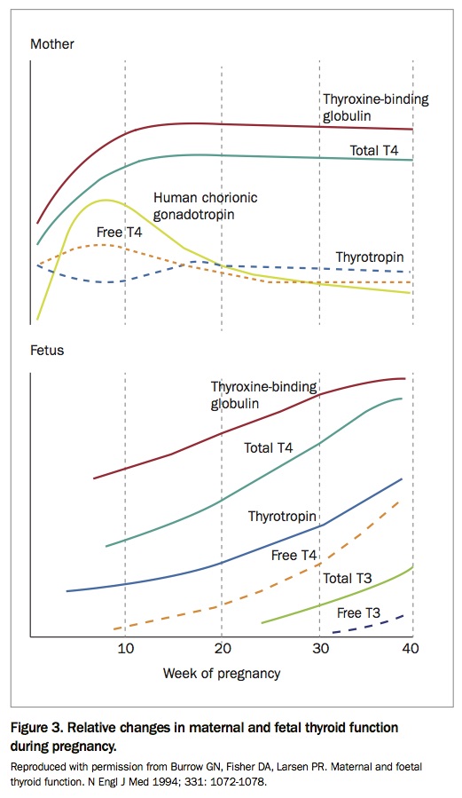 Graves’ disease the importance of TSH receptor antibodies